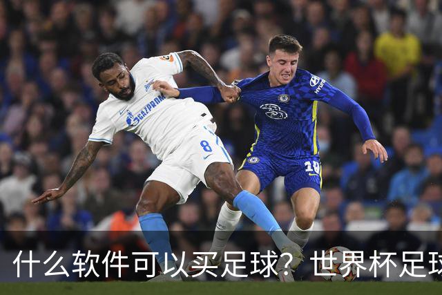 什么软件可以买足球？世界杯足球比赛怎么买网上买足球app哪个好