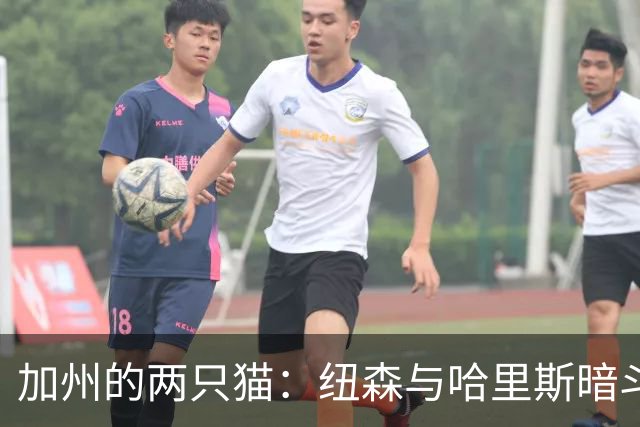 加州的两只猫：纽森与哈里斯暗斗背后的总统梦